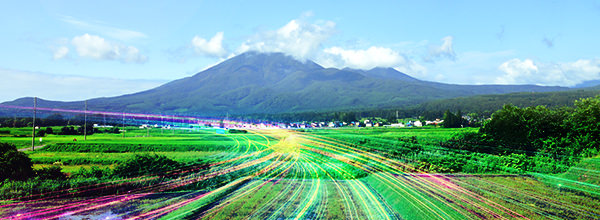 群マネイメージ